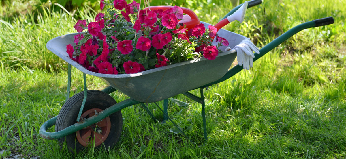 Gate, Supermarket Trolleys & Wheelbarrow Wheels
