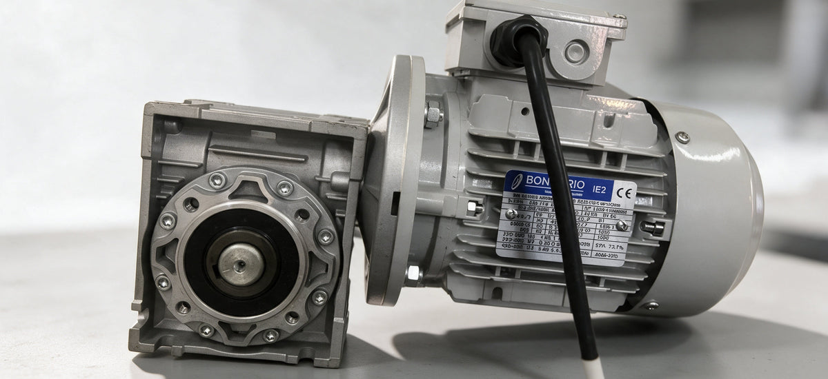 Gear Conveyor Motor