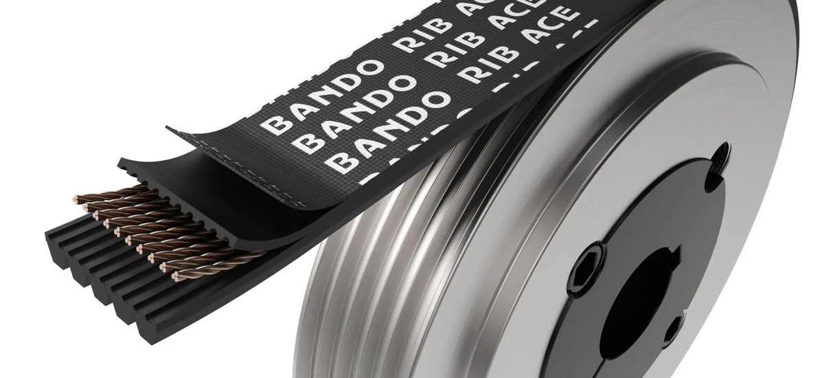 Rib Belt